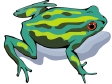 frog13.gif