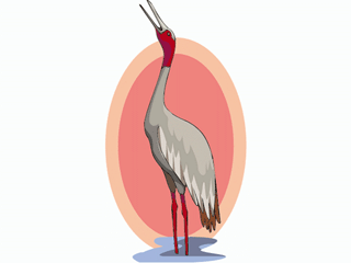 bird106.gif