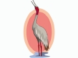 bird106.gif