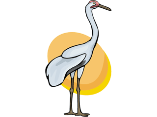 whoopingcrane.gif