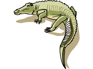 alligator10.gif