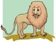 lion49.gif