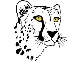 cheetah.gif