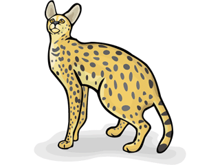 serval.gif