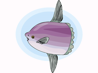 fish134.gif