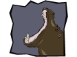 hippo1.gif