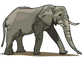 elephant17.gif