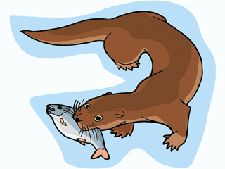 otter5.gif