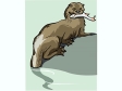 otter3.gif