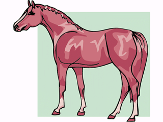 horse12.gif