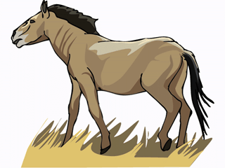 horse15.gif