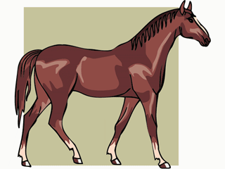 horse9.gif