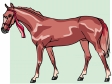 horse11.gif