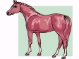 horse12.gif