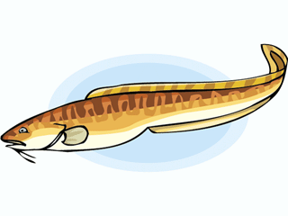 fish80.gif