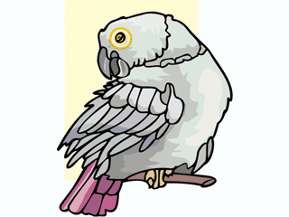 bird25.gif