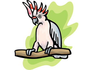 cockatoo2.gif