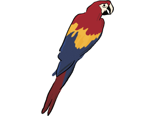 parrot.gif