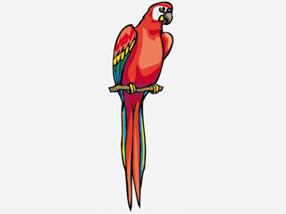 redparrot.gif