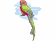 bird94.gif