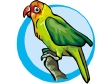 parrot3.gif