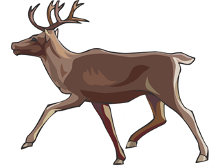 deer3.gif