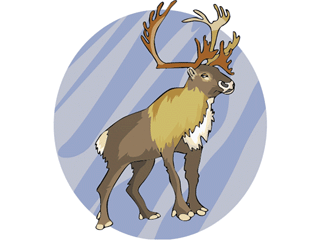 deer6.gif