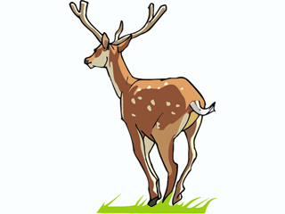 deer7.gif