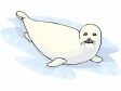 furseal3.gif