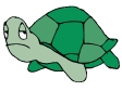 TURTLE02.gif