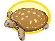 turtle19.gif