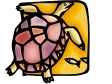 turtle2.gif