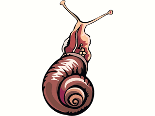 cochlea2.gif