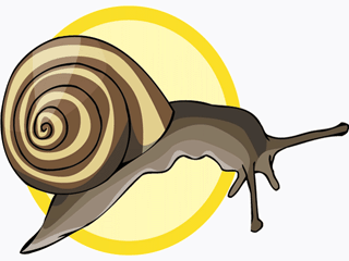 cochlea8.gif