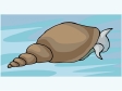 snail11.gif