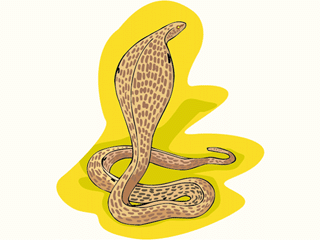 snake19.gif