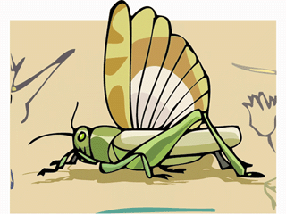 katydid3.gif