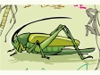 katydid2.gif