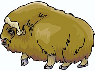 muskox.gif