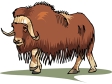 muskox2.gif