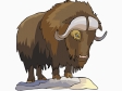 muskox3.gif