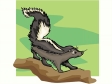 skunk3.gif