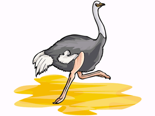 ostrich2.gif