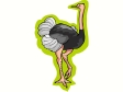 ostrich3.gif