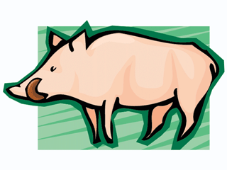 pig5.gif