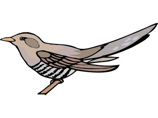 bird103.gif