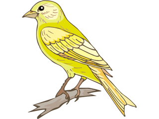 bird5.gif