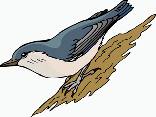 bird75.gif