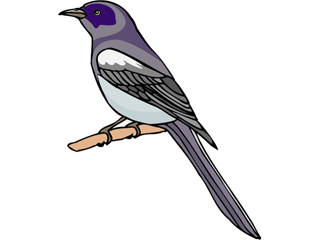 bird99.gif