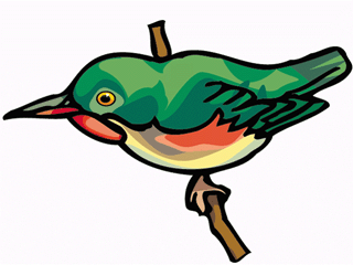 greenbird.gif